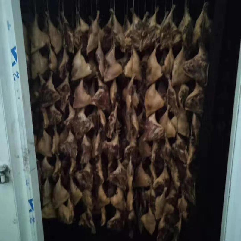 广东东莞腊肉腊鸭腊肠烘干设备案例